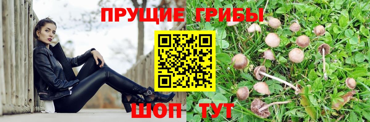 Галлюциногенные грибы ЛСД Дубна